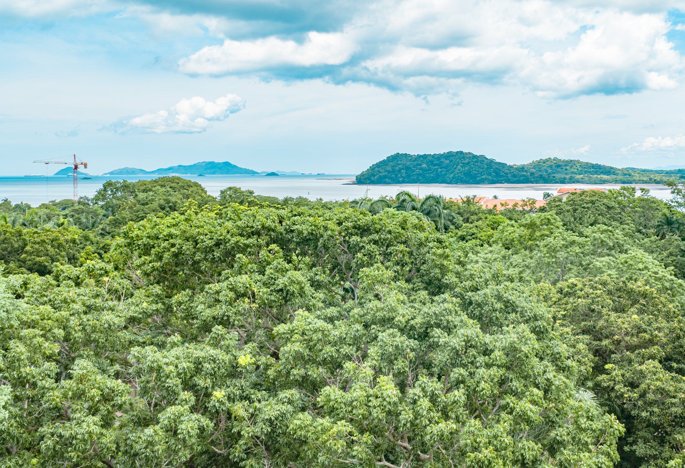 Las islas de la Bahía de Panamá en el horizonte, sobre las copas del bosque