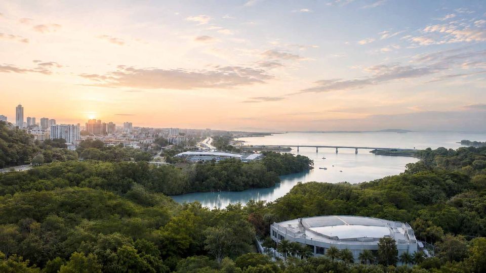 La bahía y la ciudad al atardecer, sobre el bosque
